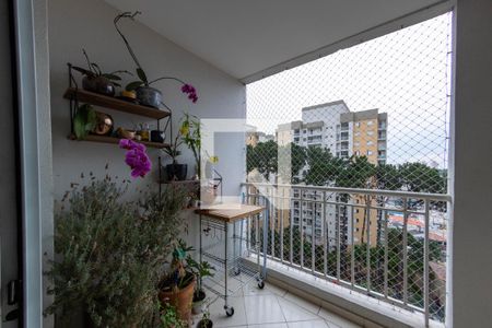 Varanda de apartamento para alugar com 3 quartos, 78m² em Parque São Lucas, São Paulo