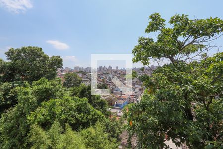 Casa de condomínio à venda com 80m², 2 quartos e 2 vagas Casa de condomínio à venda com 80m², 2 quartos e 2 vagasVista