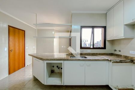 Apartamento para alugar com 132m², 3 quartos e 2 vagasCozinha 