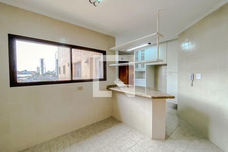 Apartamento para alugar com 132m², 3 quartos e 2 vagasCozinha 