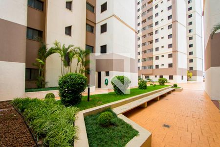 Apartamento para alugar com 71m², 2 quartos e 1 vagaÁrea comum