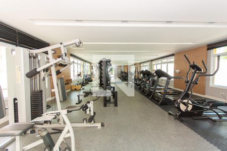 Apartamento para alugar com 70m², 3 quartos e 2 vagas Apartamento para alugar com 70m², 3 quartos e 2 vagasÁrea comum - Academia