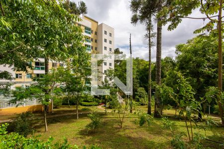 Apartamento para alugar com 70m², 3 quartos e 2 vagas Apartamento para alugar com 70m², 3 quartos e 2 vagasÁrea comum - Área Verde