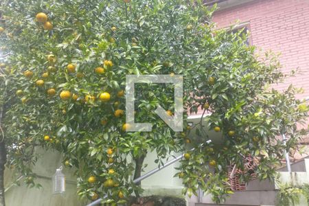 Casa à venda com 400m², 5 quartos e 4 vagasÁrea Externa