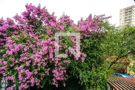 Casa à venda com 300m², 4 quartos e 4 vagas Casa à venda com 300m², 4 quartos e 4 vagasVista da suíte 01