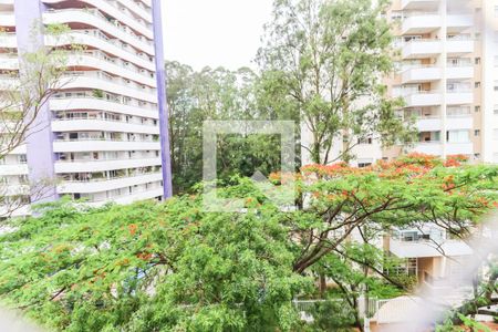 Vista da Varanda da Sala de apartamento para alugar com 2 quartos, 74m² em Vila Andrade, São Paulo