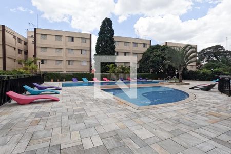 Área comum - Piscina de apartamento para alugar com 3 quartos, 94m² em Picanço, Guarulhos