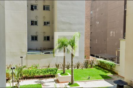 Apartamento à venda com 77m², 3 quartos e 2 vagasVista da Área de Serviço