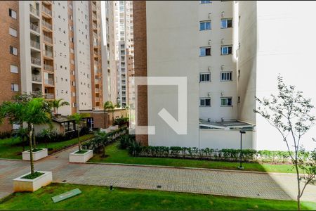 Apartamento à venda com 77m², 3 quartos e 2 vagasVista do Quarto 2