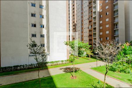 Apartamento à venda com 77m², 3 quartos e 2 vagasVista da Varanda do Quarto 3 - Suíte