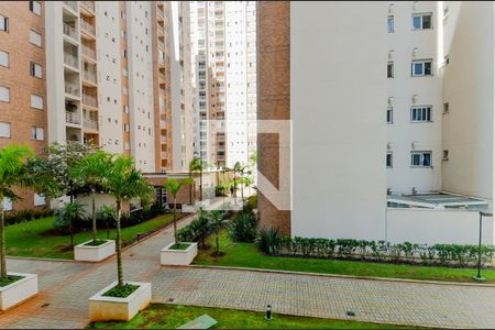 Apartamento à venda com 77m², 3 quartos e 2 vagasVista do Quarto 1