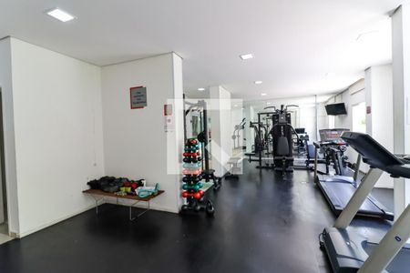 Apartamento à venda com 52m², 2 quartos e 1 vaga Apartamento à venda com 52m², 2 quartos e 1 vagaÁrea comum - Academia