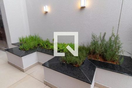 Apartamento para alugar com 36m², 1 quarto e 1 vagaHorta Comunitária