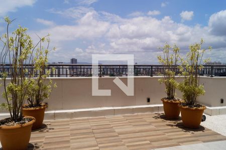 Apartamento à venda com 35m², 2 quartos e sem vaga Apartamento à venda com 35m², 2 quartos e sem vagaÁrea comum