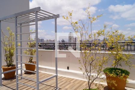 Apartamento à venda com 35m², 2 quartos e sem vaga Apartamento à venda com 35m², 2 quartos e sem vagaÁrea comum