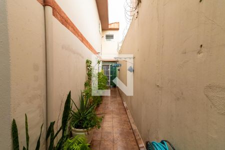 Casa à venda com 143m², 2 quartos e 3 vagas Casa à venda com 143m², 2 quartos e 3 vagasQuintal