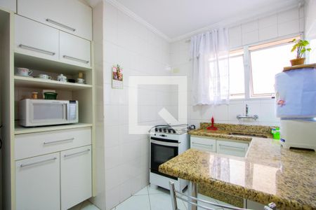 Cozinha de apartamento para alugar com 2 quartos, 60m² em Vila Alzira, Santo André