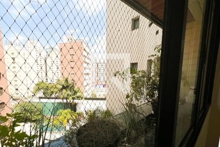 Apartamento à venda com 357m², 4 quartos e 4 vagasVista