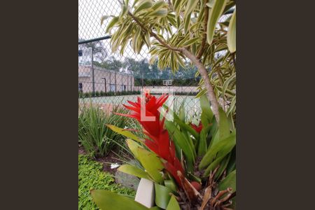 Apartamento à venda com 174m², 3 quartos e 2 vagasÁrea comum - jardim 