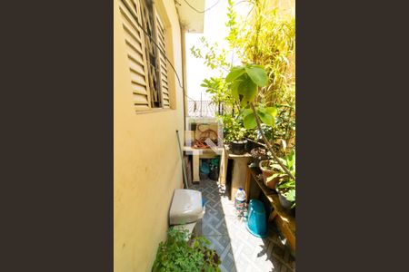 Casa para alugar com 50m², 1 quarto e sem vaga Casa para alugar com 50m², 1 quarto e sem vagaÁrea Externa