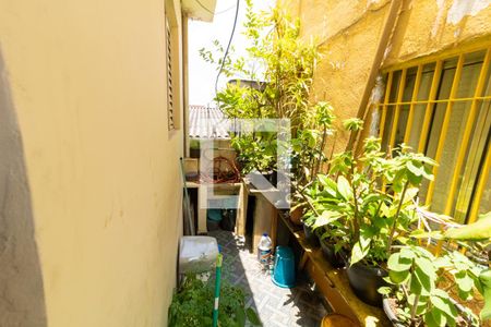 Casa para alugar com 50m², 1 quarto e sem vaga Casa para alugar com 50m², 1 quarto e sem vagaÁrea Externa