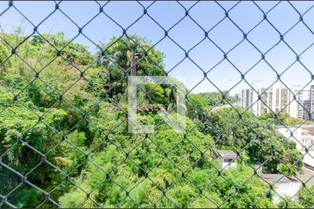 Apartamento para alugar com 320m², 6 quartos e 1 vagaÁrea comum