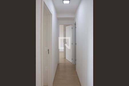 Corredor de apartamento para alugar com 2 quartos, 55m² em Parque Residencial da Lapa, São Paulo