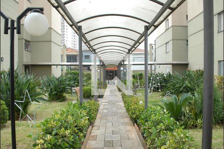 Área comum de apartamento para alugar com 2 quartos, 54m² em Vila Gustavo, São Paulo
