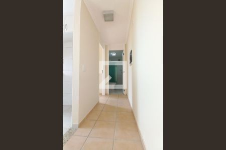 Corredor  de apartamento para alugar com 2 quartos, 50m² em Jardim Cura D’ars, Campinas