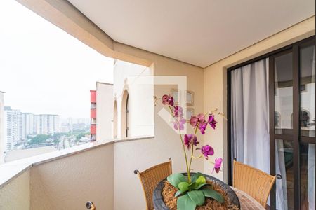 Apartamento à venda com 210m², 3 quartos e 3 vagasVaranda da Sala