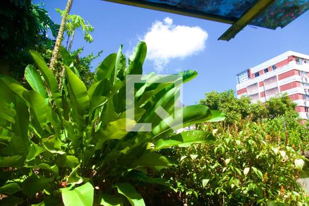 Casa para alugar com 230m², 4 quartos e 2 vagas Casa para alugar com 230m², 4 quartos e 2 vagasSuíte vista