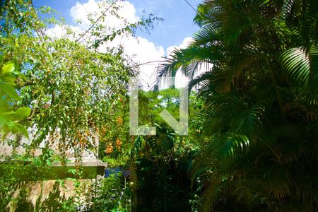 Casa para alugar com 230m², 4 quartos e 2 vagas Casa para alugar com 230m², 4 quartos e 2 vagasJardim vista