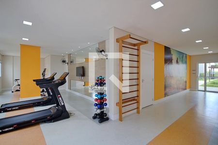 Área comum - Academia de apartamento à venda com 2 quartos, 43m² em Parque Reboucas, São Paulo