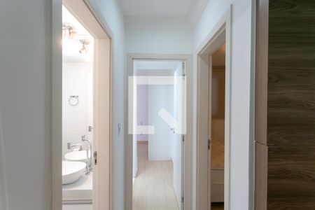 Corredor de apartamento para alugar com 2 quartos, 115m² em Santo Antônio, Belo Horizonte