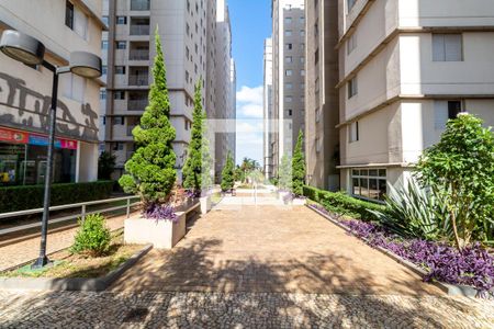 Apartamento para alugar com 67m², 3 quartos e 1 vagaÁrea comum - Área externa