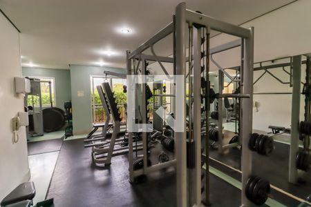 Apartamento para alugar com 45m², 2 quartos e 1 vagaÁrea comum - Academia