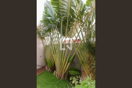 Jardim de casa à venda com 3 quartos, 160m² em Parque Jambeiro, Campinas
