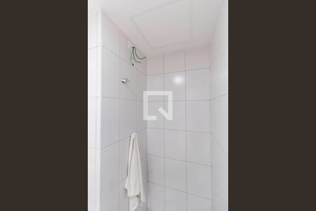 Banheiro de apartamento para alugar com 2 quartos, 34m² em Vila Pierina, São Paulo