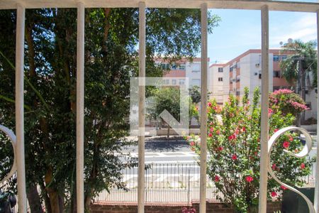 Vista do Quarto 1 de apartamento para alugar com 2 quartos, 70m² em Jardim Dona Leopoldina, Porto Alegre