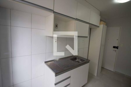 Cozinha - Armários de apartamento para alugar com 1 quarto, 30m² em Brás, São Paulo