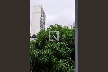 Apartamento para alugar com 35m², 2 quartos e sem vagaVista do Quarto 02