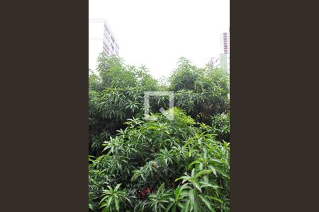 Apartamento para alugar com 35m², 2 quartos e sem vagaVista do Quarto 01