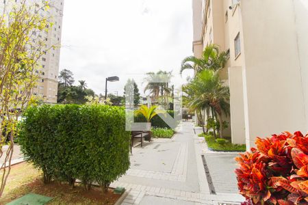 Apartamento para alugar com 46m², 2 quartos e 1 vagaÁrea Comum
