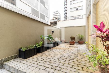 Studio para alugar com 35m², 1 quarto e sem vagaHorta