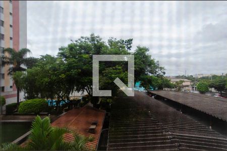 Vista Quarto 1 de apartamento para alugar com 2 quartos, 48m² em Cangaiba, São Paulo