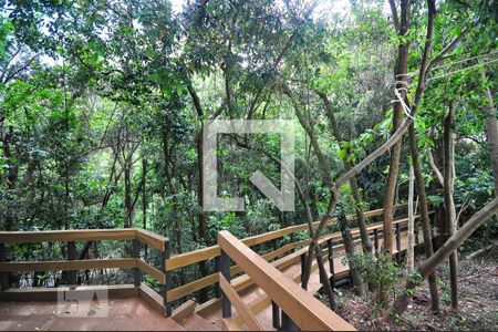 Apartamento para alugar com 37m², 1 quarto e 1 vagabosque