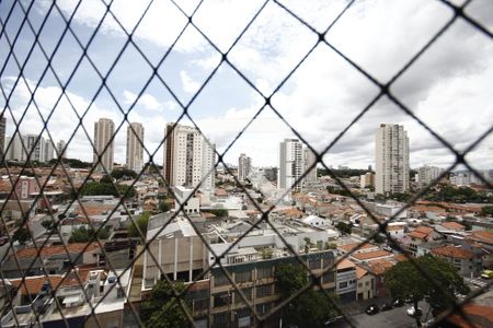 Apartamento à venda com 156m², 3 quartos e 3 vagasVista