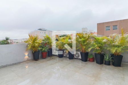 Apartamento à venda com 256m², 3 quartos e 3 vagasCobertura - Churrasqueira /  Piscina