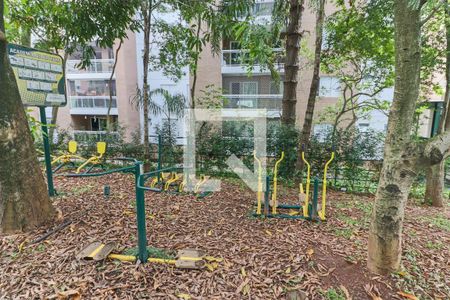 Apartamento à venda com 256m², 3 quartos e 3 vagasGinastica