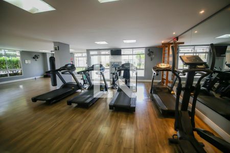 Apartamento à venda com 256m², 3 quartos e 3 vagasAcademia